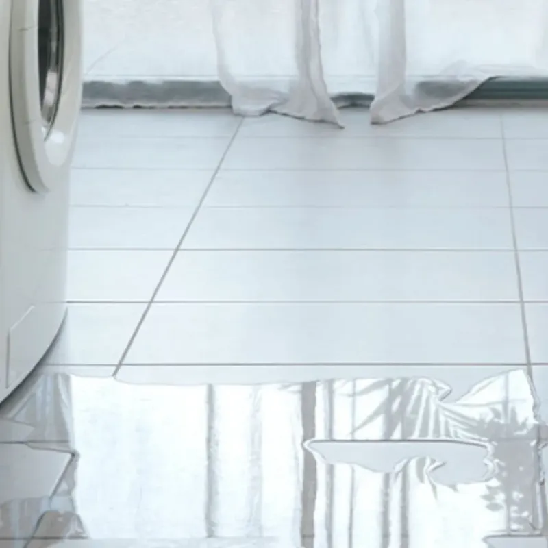 Appliance Leak Cleanup in Lucas County, IA