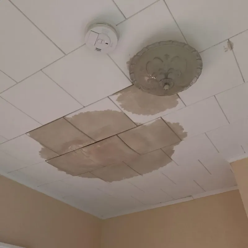 Ceiling Water Damage Repair in Lucas County, IA