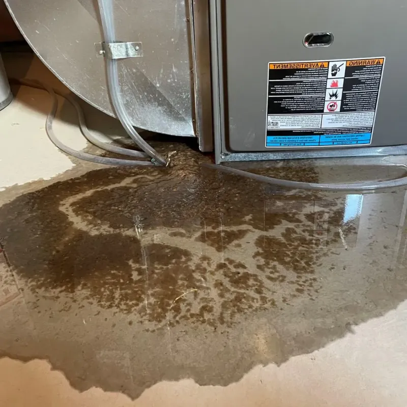Pipe Burst and Leak Restoration in Lucas County, IA