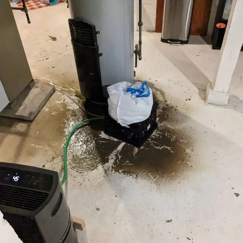 Sewage Backup Cleanup Service in Lucas County, IA